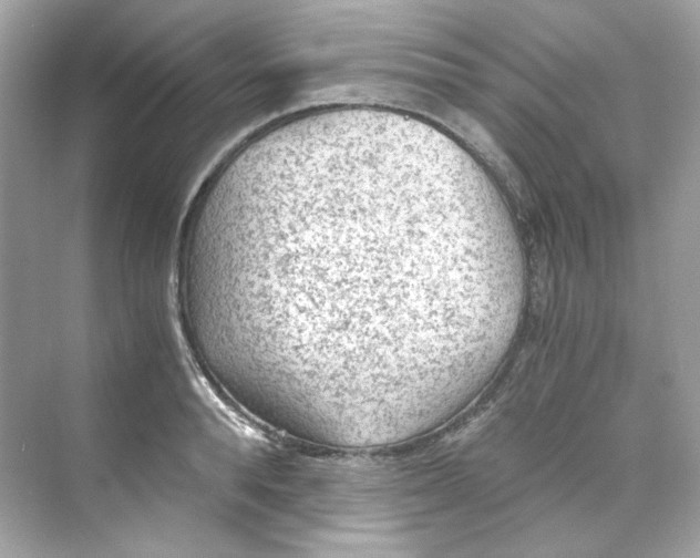 X0000069810896200606091832