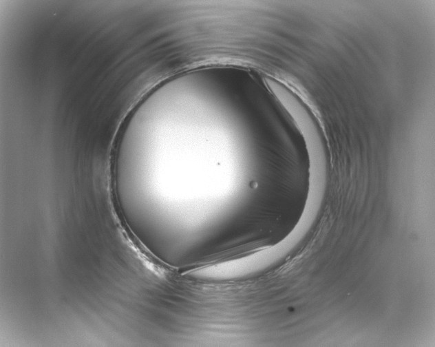 X0000069810898200606091832