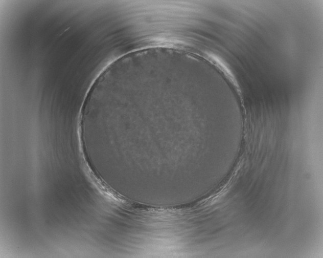 X0000069810899200606091832