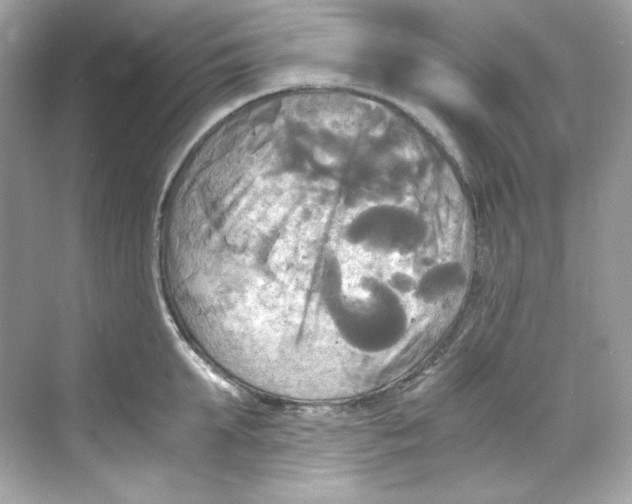 X0000069810903200606091832