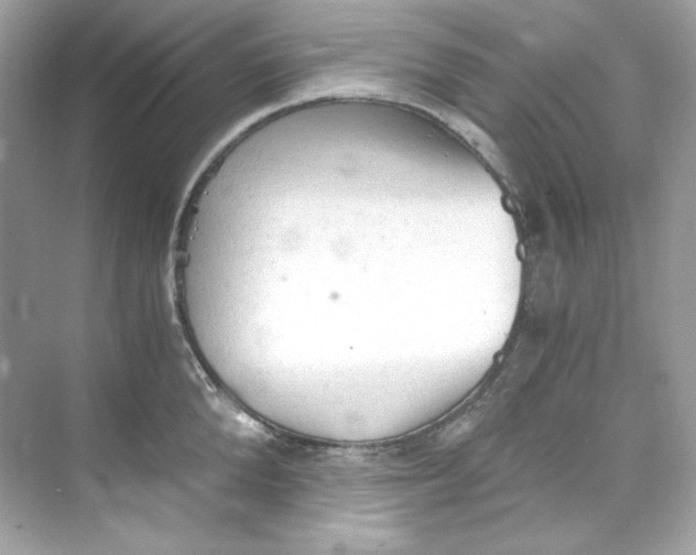 X0000069810904200606091832