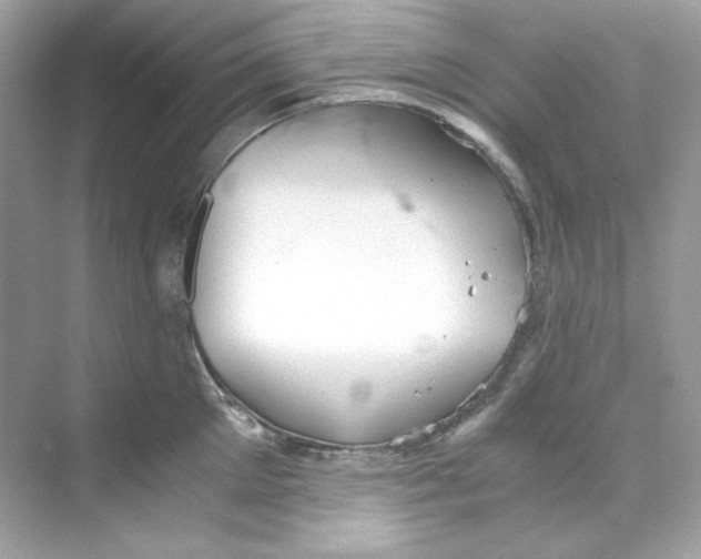 X0000069810905200606091832