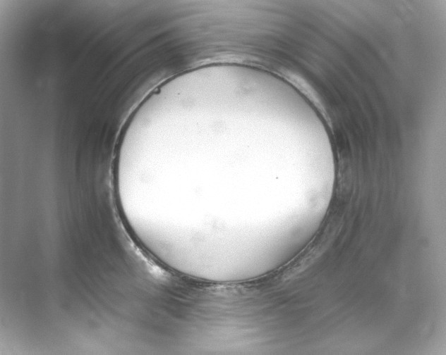 X0000069810906200606091832