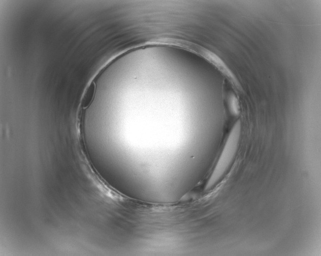 X0000069810908200606091832