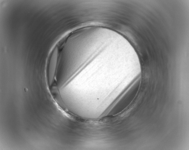 X0000069810910200606091831