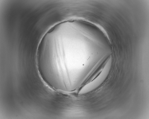 X0000069810911200606091831