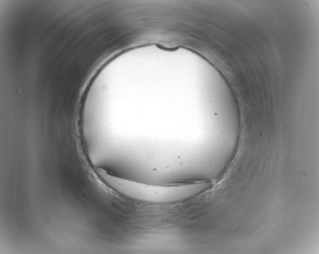 X0000069810912200606091831