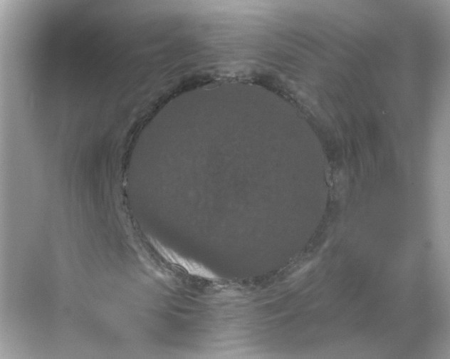 X0000069810913200606091831