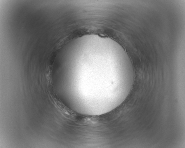 X0000069810914200606091831