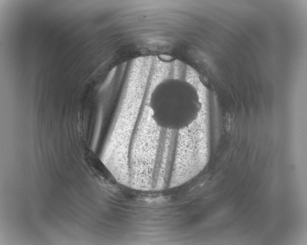 X0000069810915200606091831