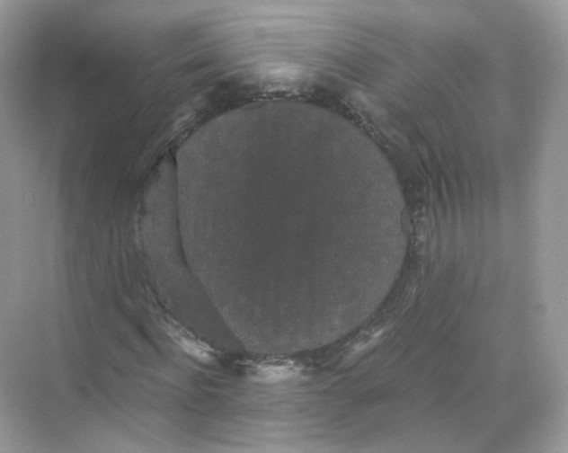 X0000069810916200606091831