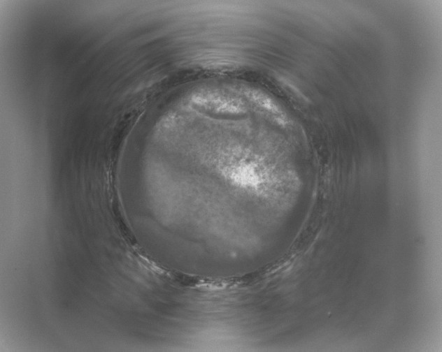 X0000069810917200606091831