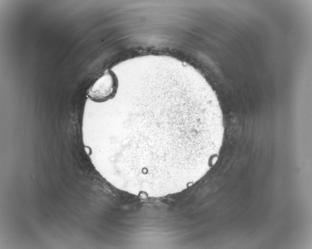 X0000069810918200606091831