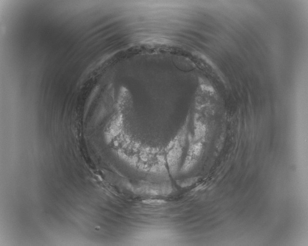 X0000069810919200606091831