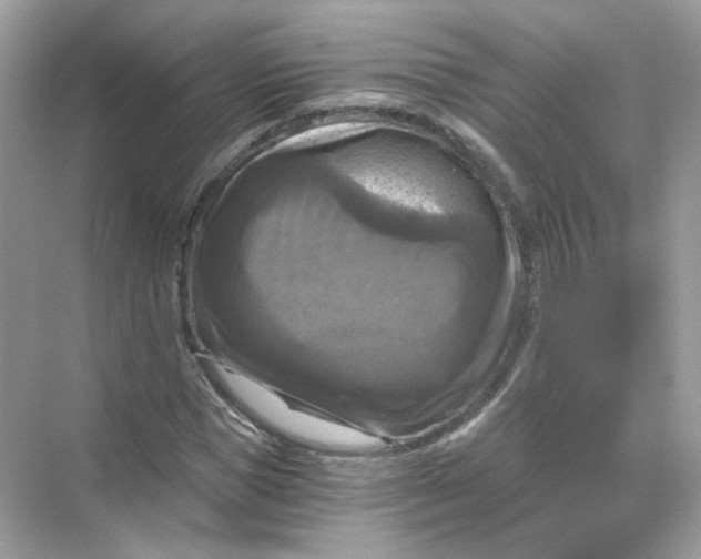 X0000069810921200606091831