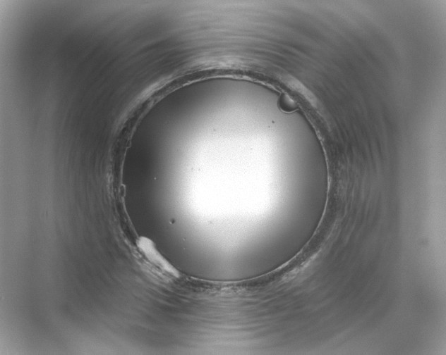 X0000069810922200606091831