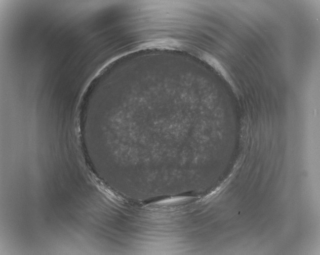 X0000069810923200606091831