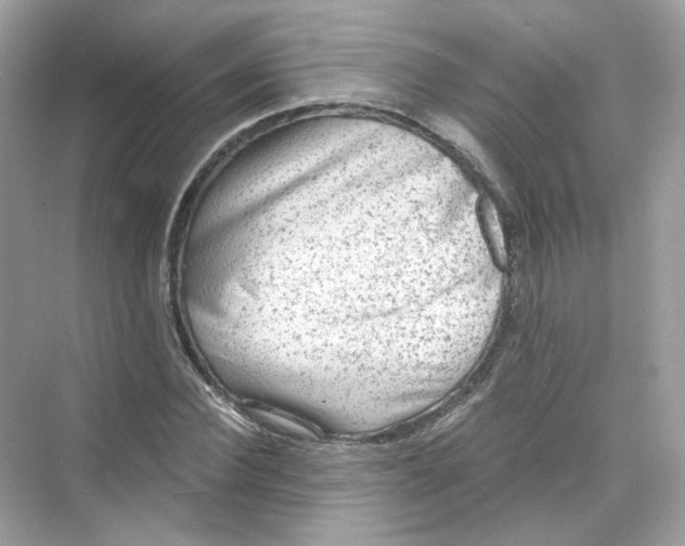 X0000069810924200606091831