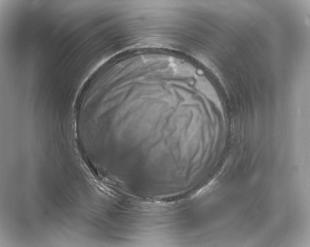 X0000069810925200606091831