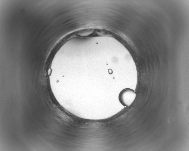 X0000069810926200606091831