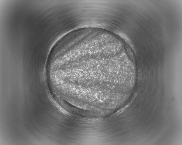 X0000069810928200606091831