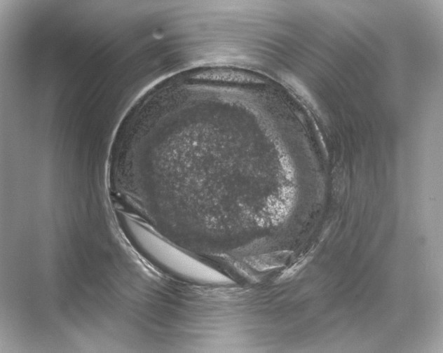 X0000069810932200606091831