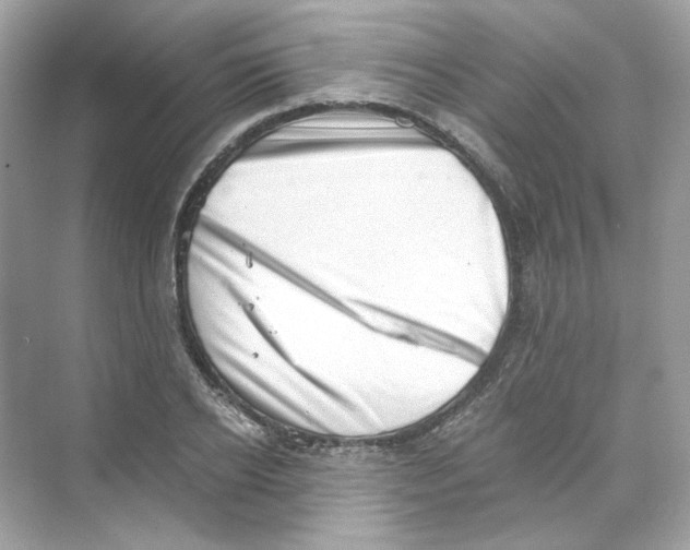 X0000069810934200606091831