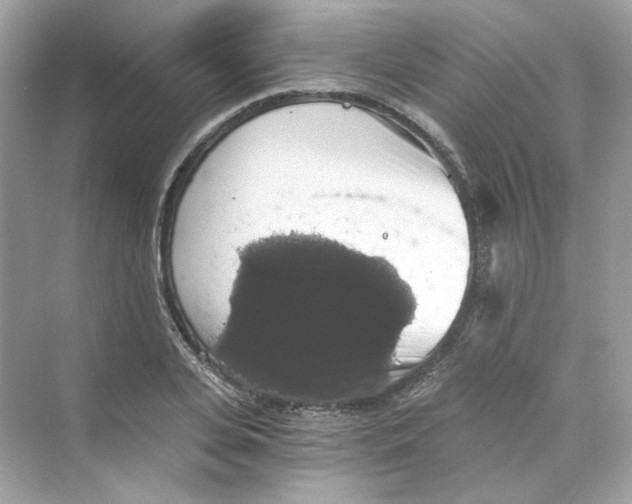 X0000069810935200606091831