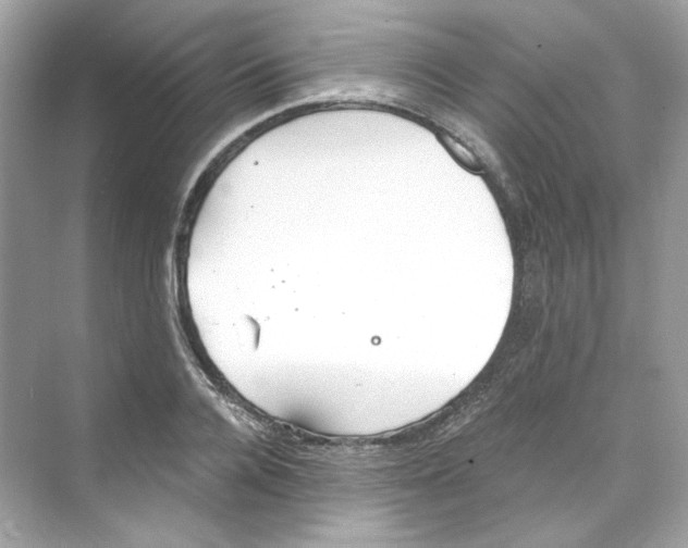 X0000069810936200606091831