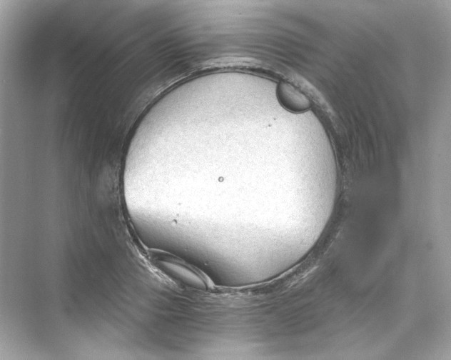 X0000069810937200606091831