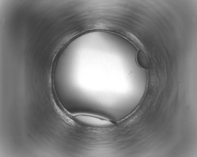 X0000069810938200606091831