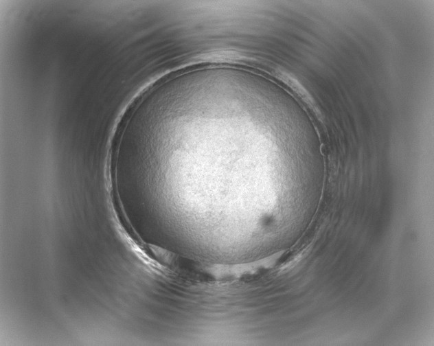 X0000069810939200606091831