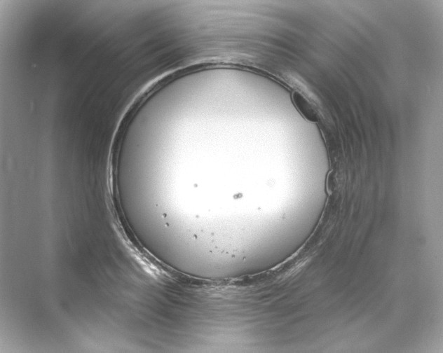 X0000069810940200606091831