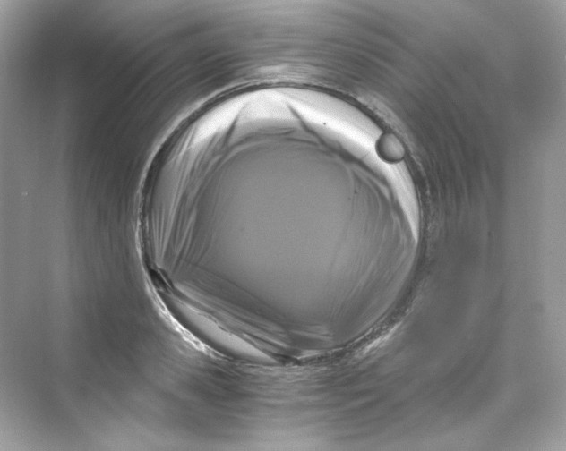 X0000069810941200606091831