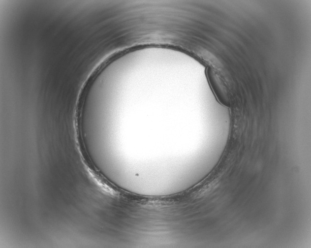 X0000069810942200606091831