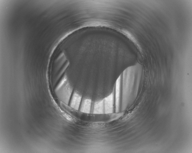 X0000069810943200606091831