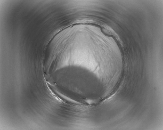 X0000069810945200606091831