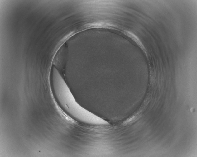 X0000069810946200606091831