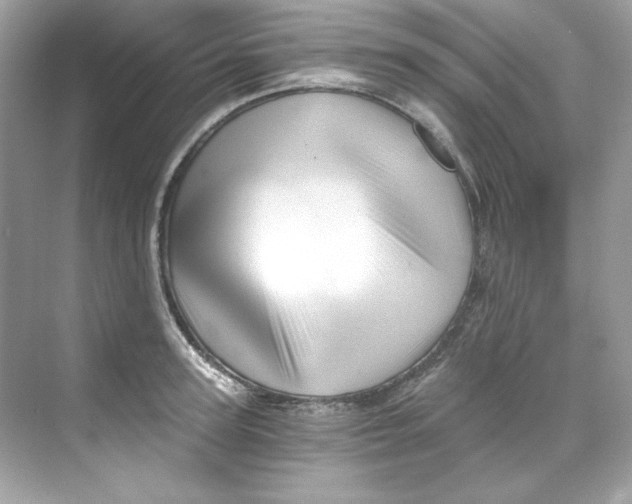 X0000069810947200606091831