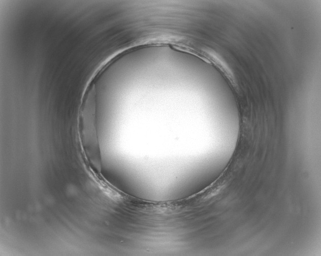 X0000069810948200606091831