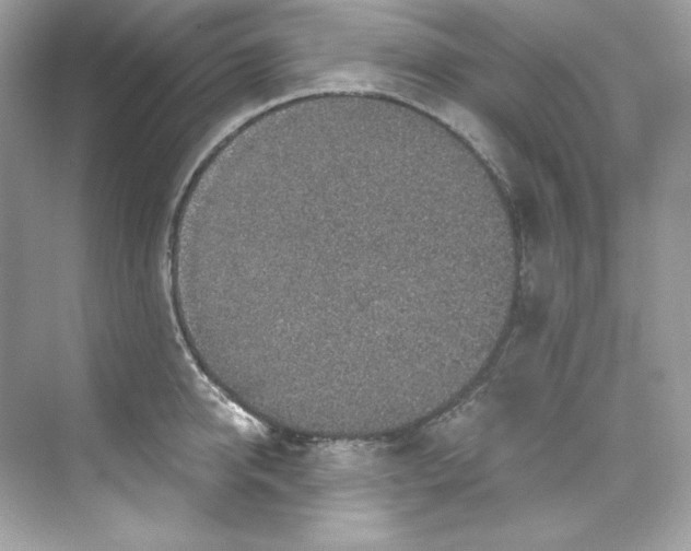 X0000069810950200606091831