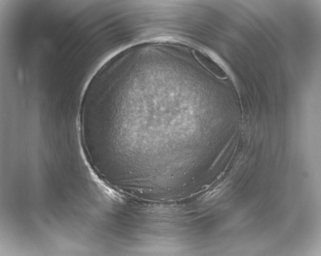 X0000069810951200606091831