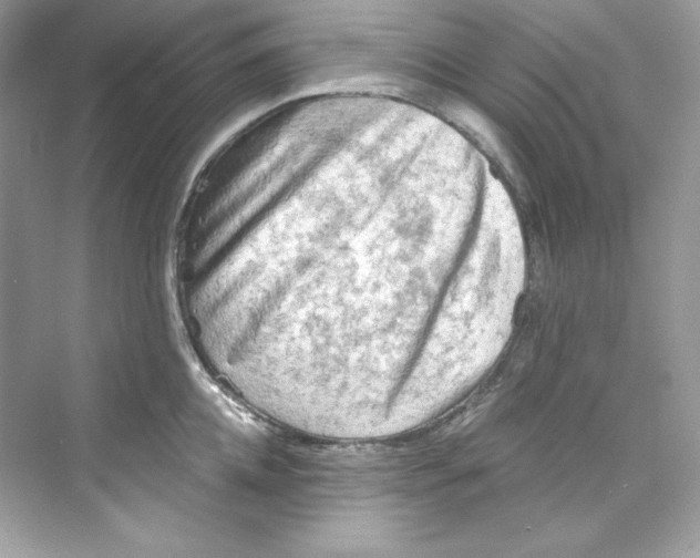 X0000069810952200606091831