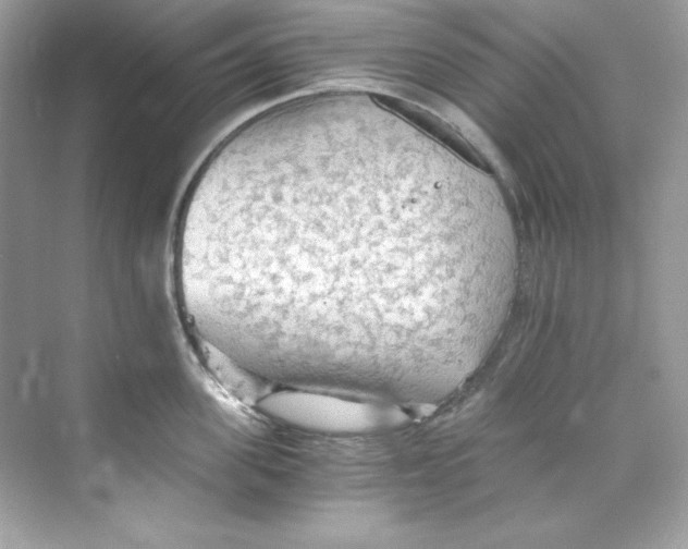 X0000069810955200606091831