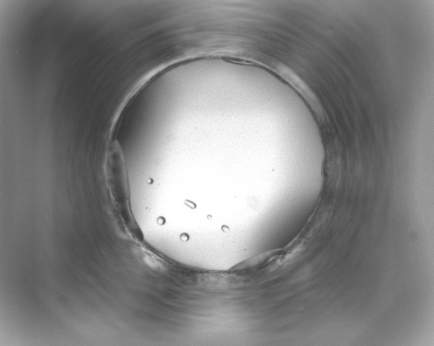 X0000069810956200606091831