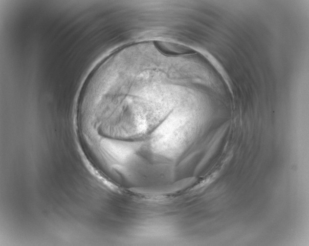 X0000069810957200606091831