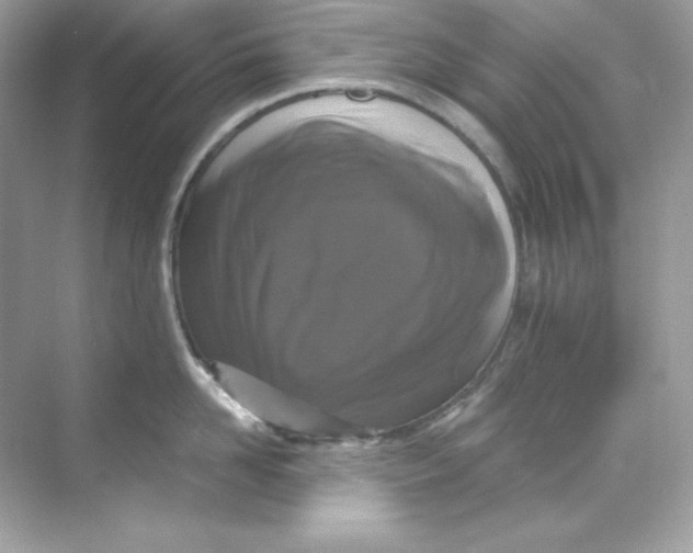 X0000069810958200606091831