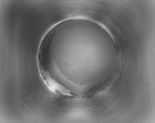 X0000069810959200606091831