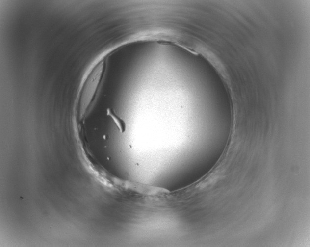 X0000069810960200606091831