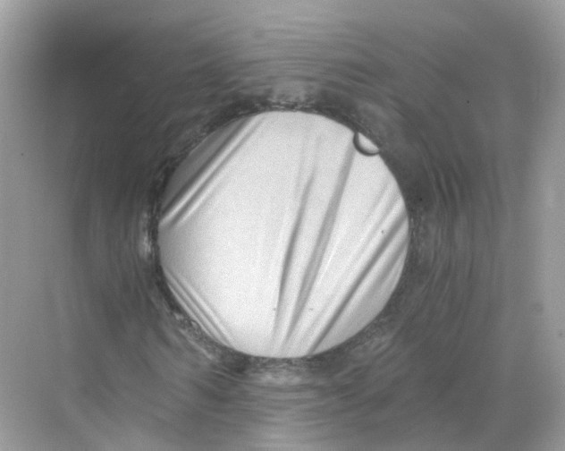 X0000069810962200606091831